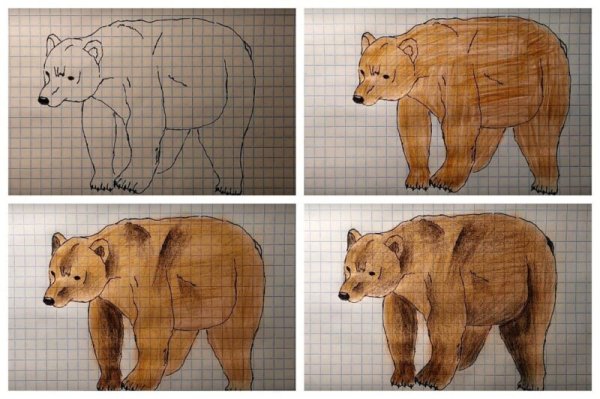 Рисование медведей бурых с детьми