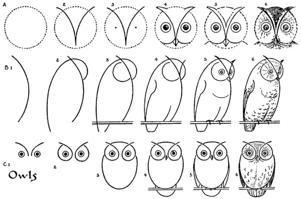 Поэтапное рисование Совы