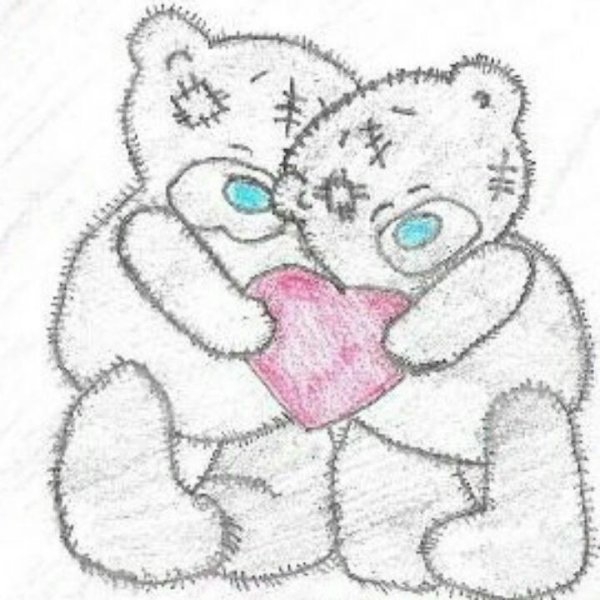 Мишка рисунок карандашом для срисовки