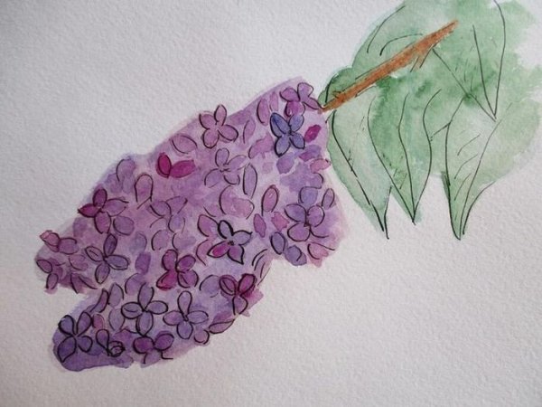 Веточка сирени для рисования