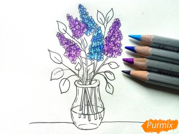 Сирень в вазе карандашом