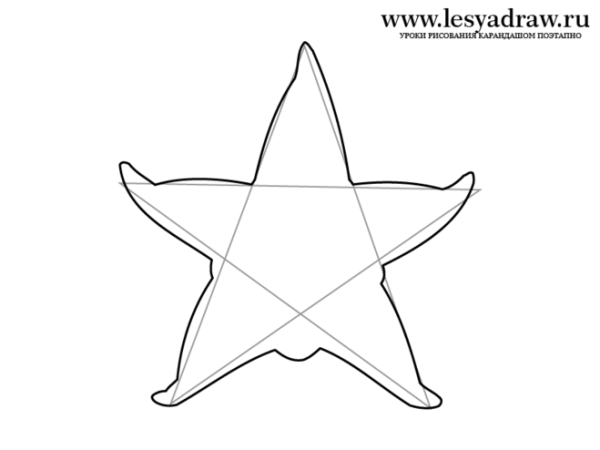 Морская звезда рисунок