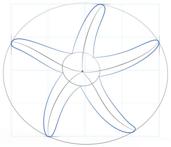 Морская звезда раскраска