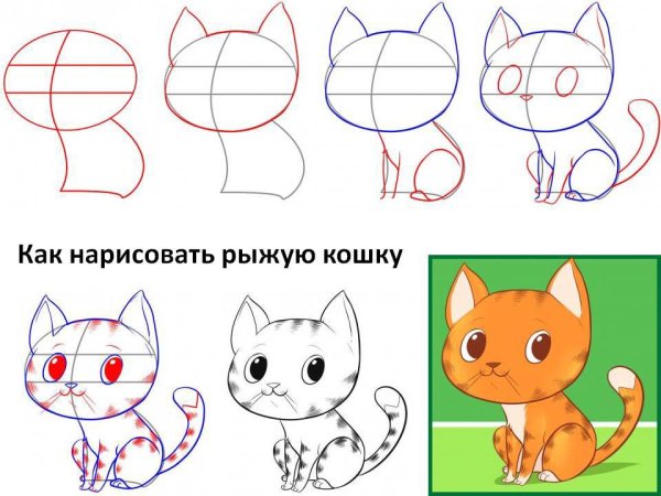 Рисование кошки