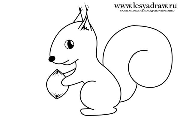 Рисунок белки карандашом