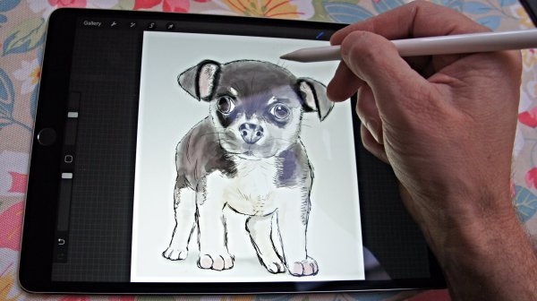 Графический планшет Wacom Intuos Pro large paper Edition (pth-860p) + corel Painter 2020