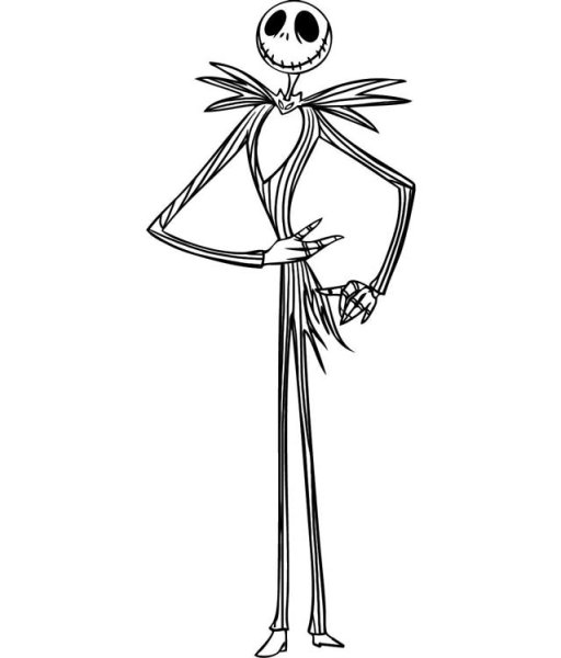 Контур скелета для рисования для детей