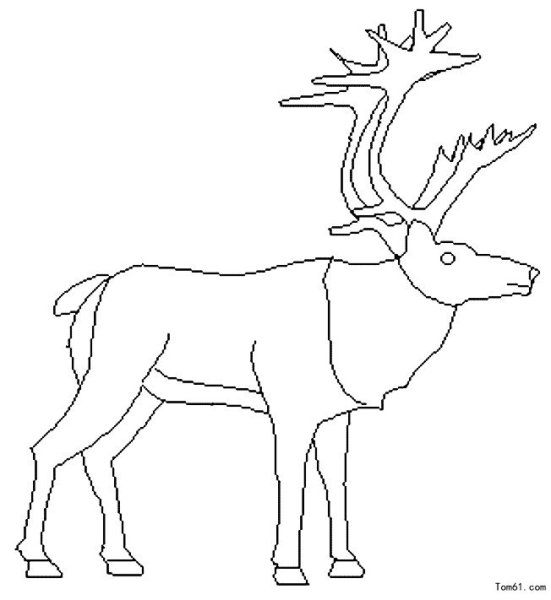 Поэтапное рисование лося для детей