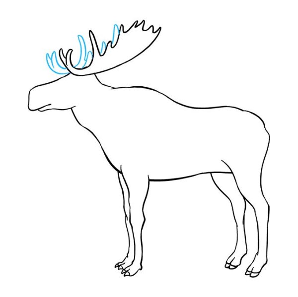 Поэтапное рисование лося для дошкольников