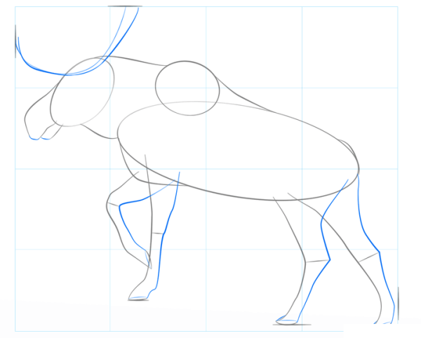Рисунок головы лося сбоку
