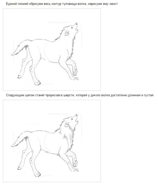 Иллюстрация к басне волк на псарне 5 класс