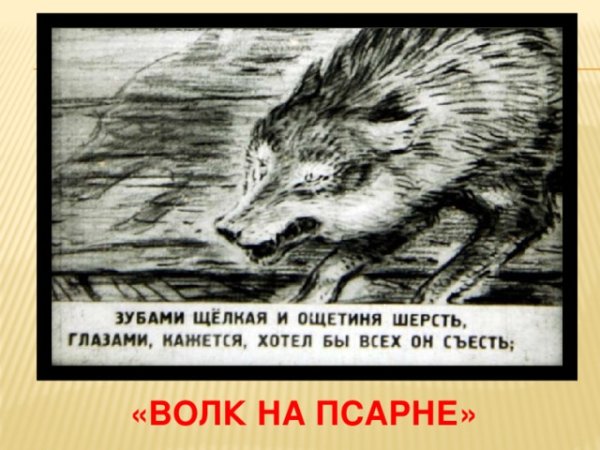 Волк на псарне детские рисунки