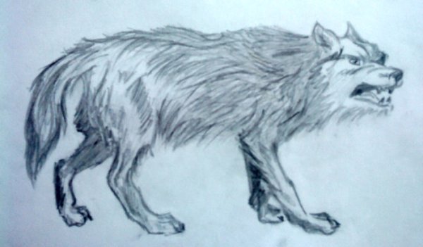 Волк на псарне басня Крылова