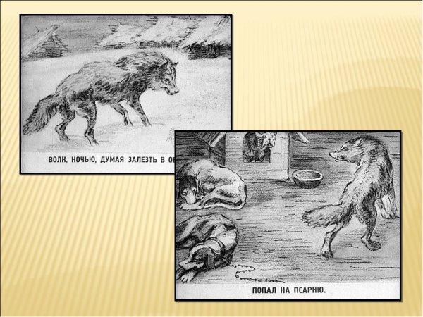 Волк на псарне