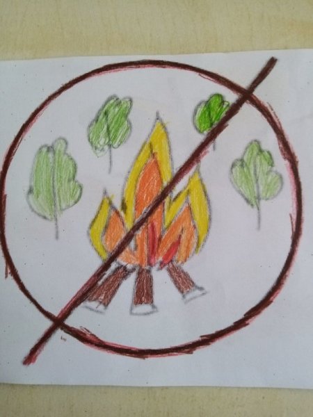 Берегите растения