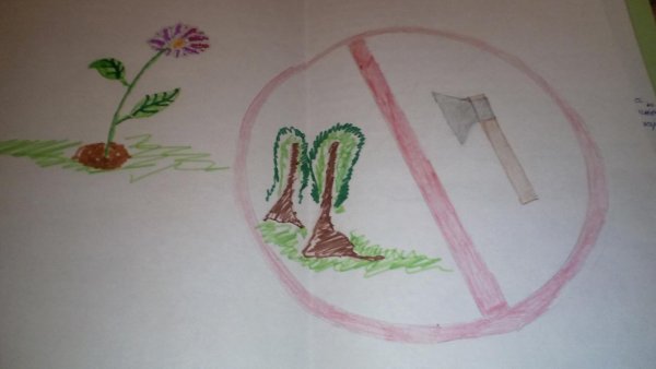 Рисунок берегите растения 3 класс