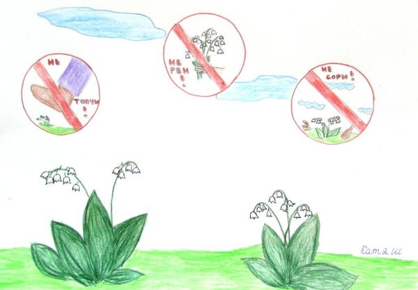 Плакат берегите растения