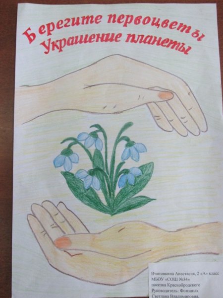 Лакат «берегите растения!».