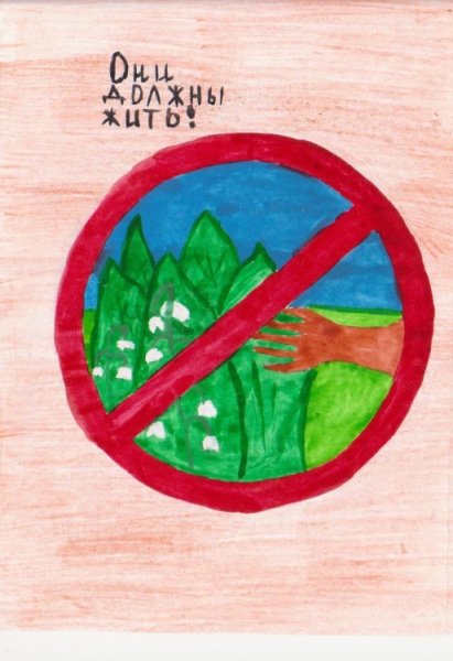 Знаки защиты природы для детей