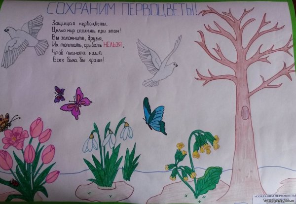 Плакат берегите цветы