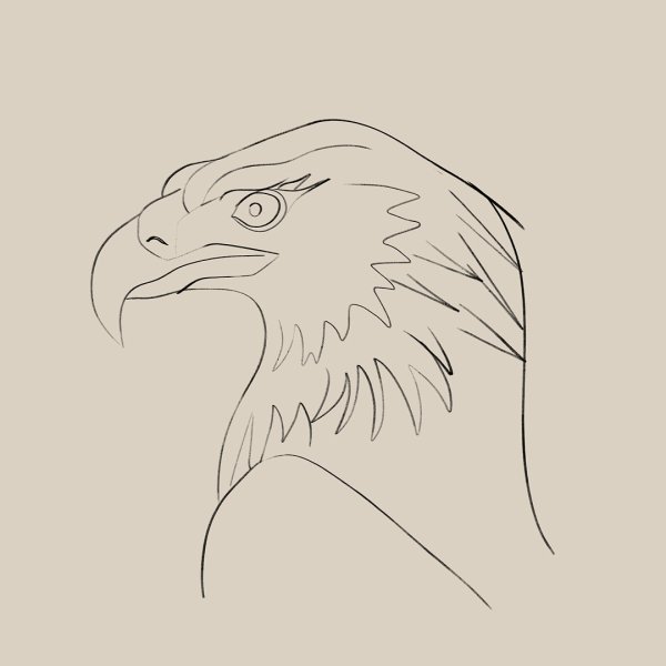 Орел карандашом