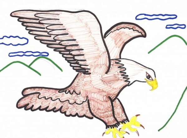 Степной Орел карандашом