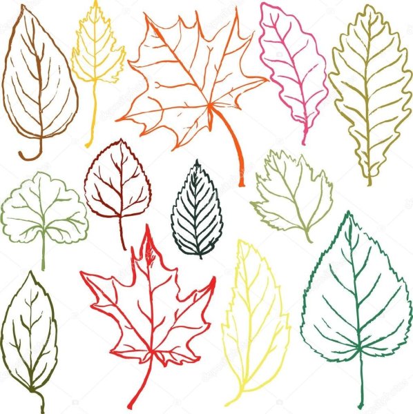 Листья карандашом