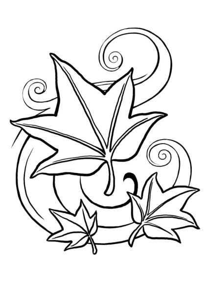 Как нарис кленовый лист