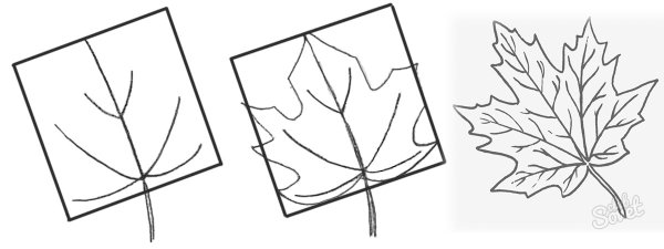 Маленькие листики