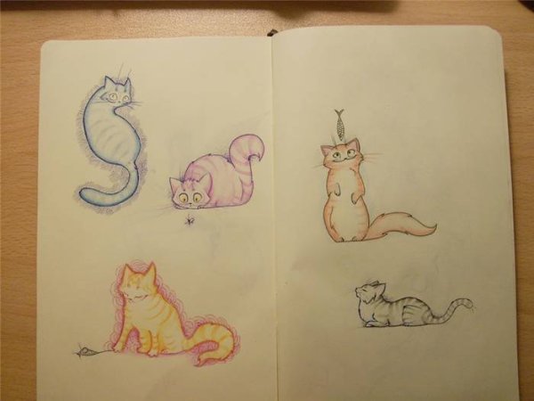 Художник Tania Samoshkina