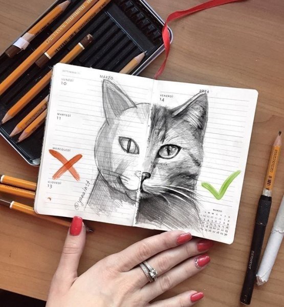 Коты Воители скейч бук