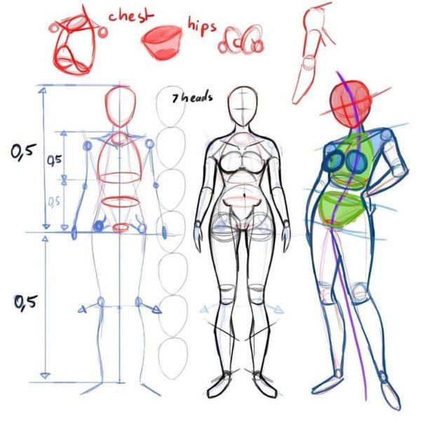Пропорции человека для рисования в полный рост для начинающих