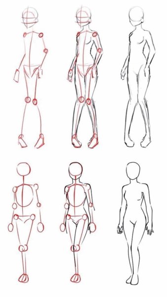 Тело человека для рисования