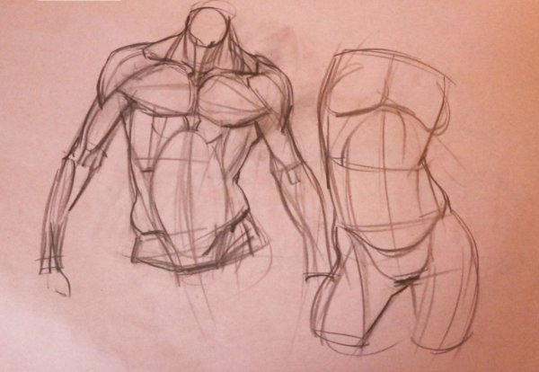 Уроки рисования тела человека