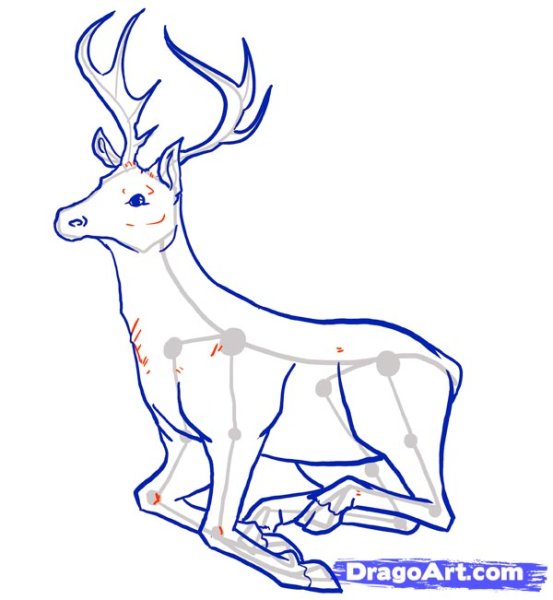 Олень рисунок карандашом поэтапно