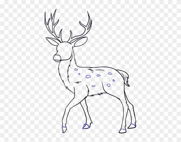 Олень рисунок легкий для срисовки