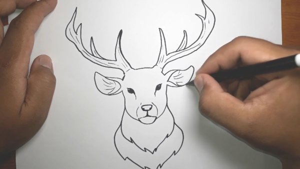 Новогодний рисунок для срисовки легко олень