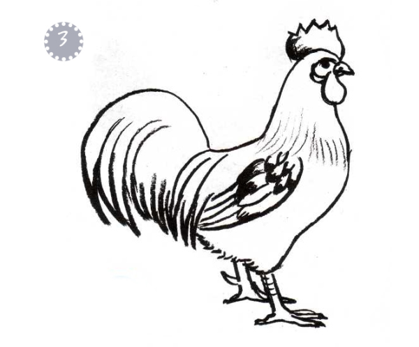 Петух для срисовки