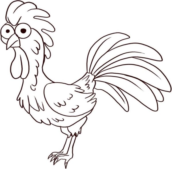 Петух рисунок карандашом