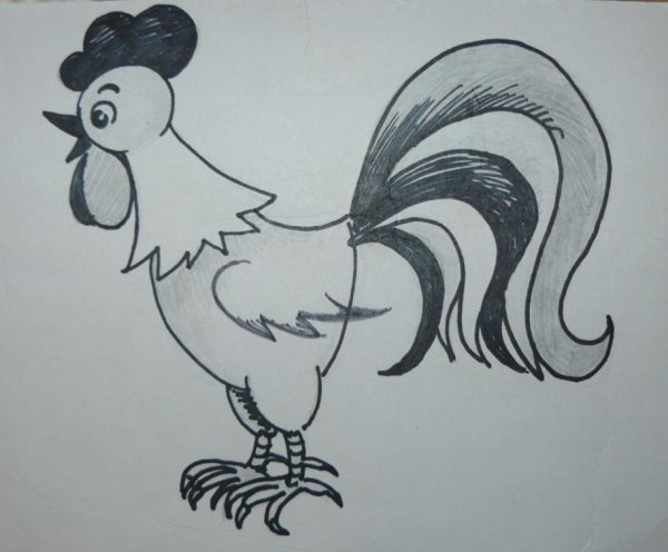 Маленький петух рисунок