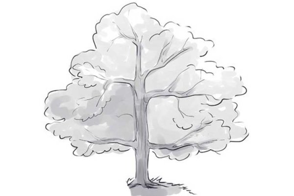 Дерево для срисовки легко