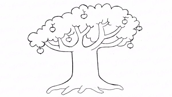 Дерево раскраска для детей