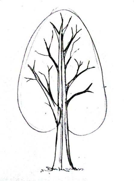 Несложные рисунки деревьев
