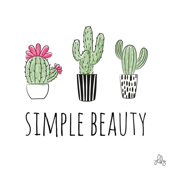 Кактус рисунок для срисовки