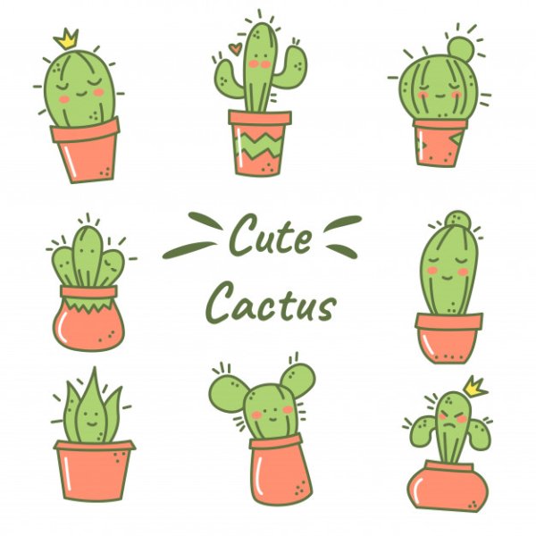 Поэтапное рисование кактуса в горшке