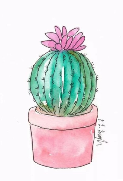 Кактус цветными карандашами