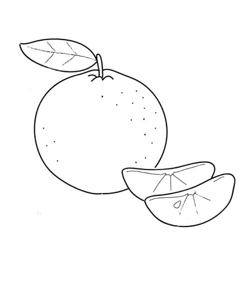 Рисунки фруктов для срисовки