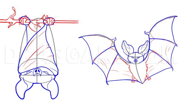 Летучая мышь пошагово