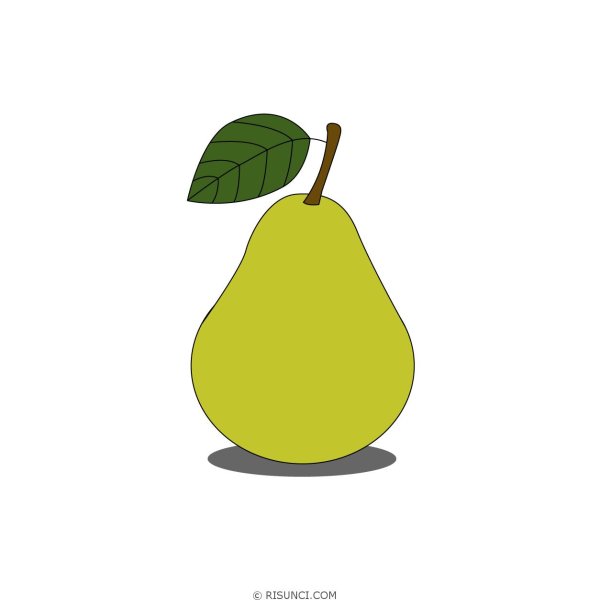 Груша карандашом