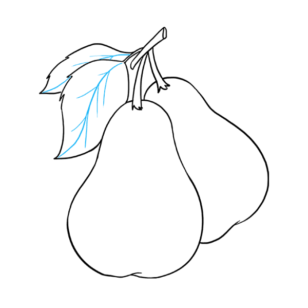 Груша рисунок
